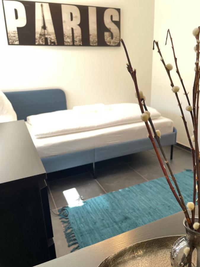 Moderne Stadtwohnung Inkl. Tiefgaragenplatz Bregenz Kültér fotó